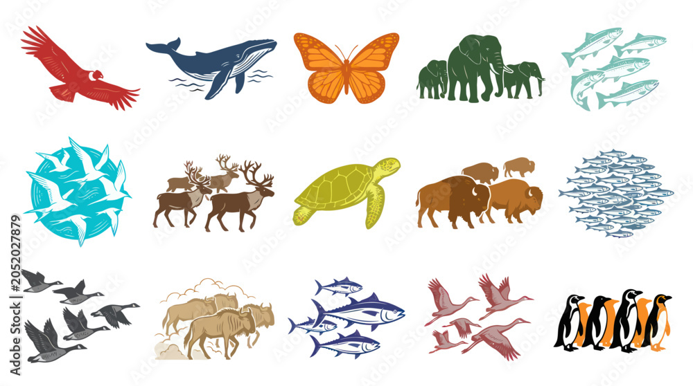 Naklejka premium Diverse Animal Collection - Nature, Wildlife, Birds, Fish, Mammals, Insects, Art