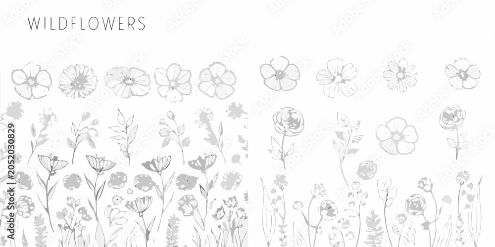 Fototapeta premium Minimalist line art wildflower collection with stems and petals on a white background botanical illustration