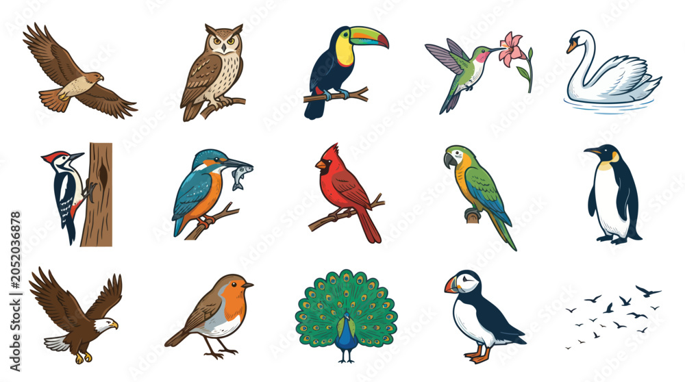 Fototapeta premium Vibrant Vector Cartoon Illustration of Diverse Bird Species Collection. Nature Wildlife Avian Set.