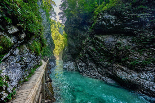 Canvastavla The scenic Vintgar gorge and the Radovna river which has cut the Vintgar Gorge d