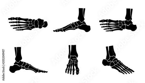 Bild auf Leinwand Human foot skeleton anatomy, multiple views, black silhouette illustration Vecto