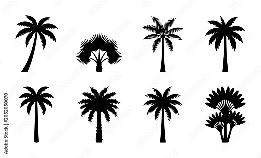 Naklejka premium Collection of different palm tree silhouettes, tropical plants Vector