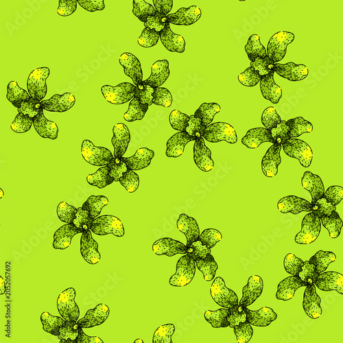 Bild auf Leinwand pattern phalaenopsis orchid hand drawn