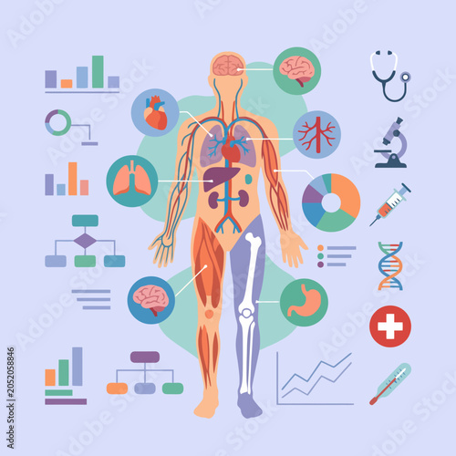 Canvas Print Medical infographic showing human anatomy and health data