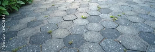 Obraz  z motywem Interlocking gray hexagon tiles, textured concrete path, design, tile, sidewalk