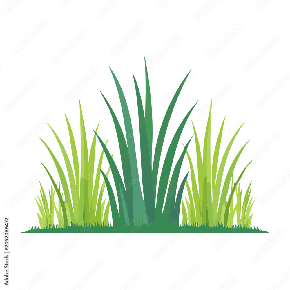 Fototapeta premium Green grass illustration on transparent background