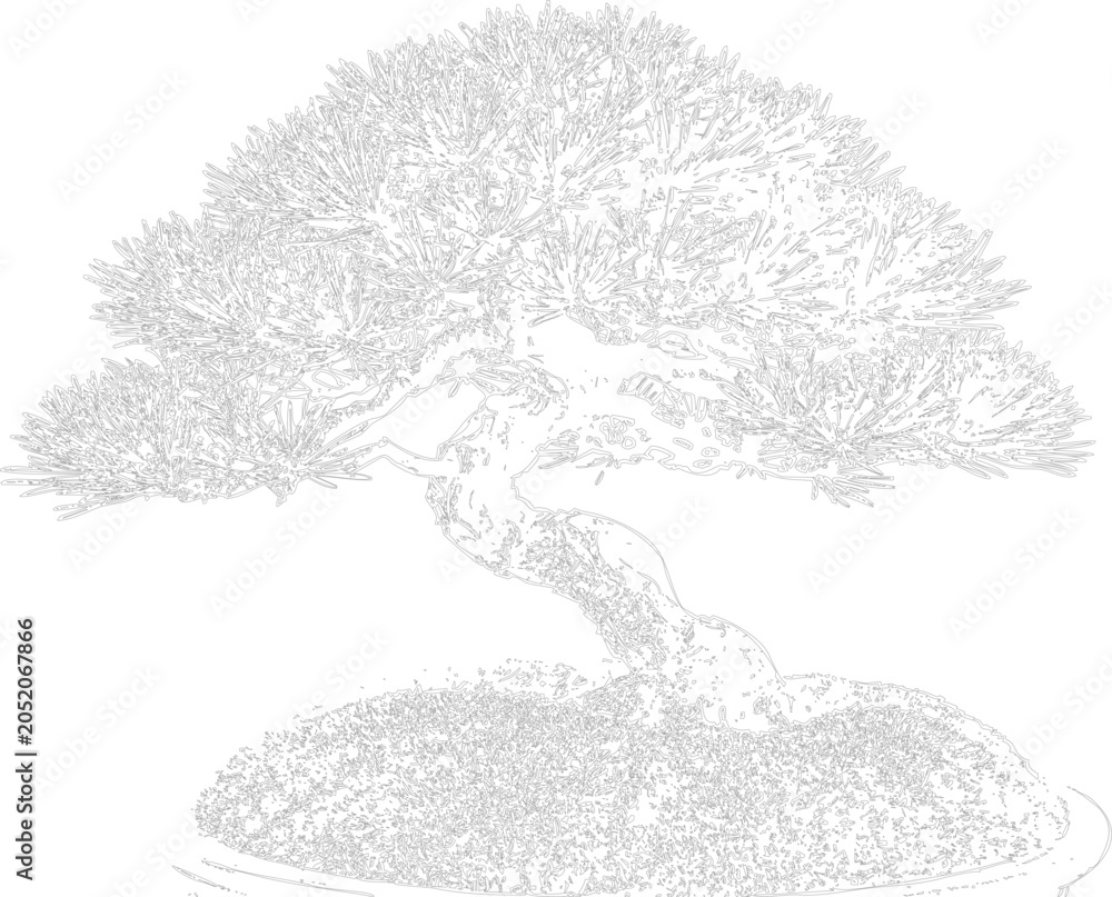 Fototapeta premium Stylized outline of a bonsai tree with a curved trunk and a rounded canopy of needles keywords