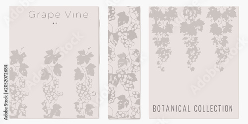 Grape vine floral ornament set in grayscale designed as rectangular botanical illustrations vitis foliage leaves