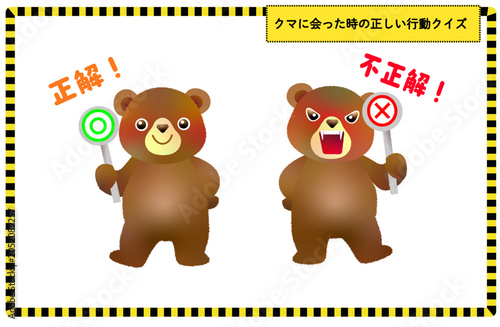 Photography クマのキャラクターがマルとバツの看板を持つイラストセット クイズ 正解 不正解 熊