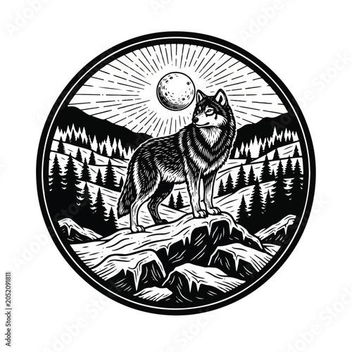 Tableau sur toile Wolf standing on mountain peak looking.
