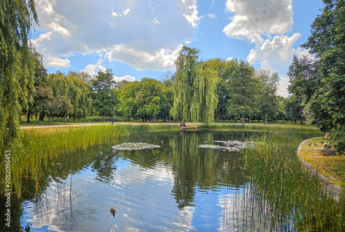 A city park in Zdunska Wola, Poland.