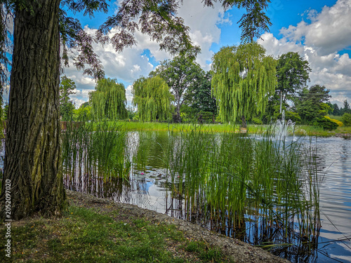 A city park in Zdunska Wola, Poland.