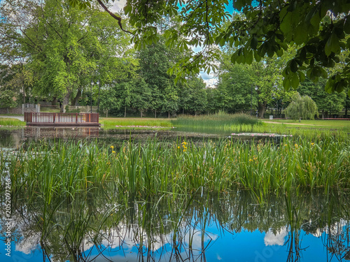 A city park in Zdunska Wola, Poland.