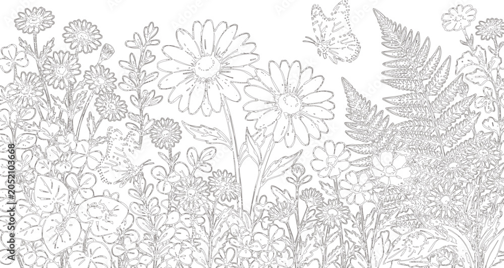 Fototapeta premium Hand Drawn Wildflower Meadow Vector Illustration with Daisies Ferns Butterflies and Botanical Garden Elements