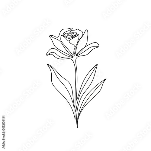 Minimalist Rose Line Art Illustration, Elegant Floral Design