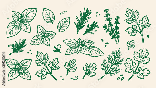 Konstfotografi fresh aromatic herbs culinary pattern, organic green garden spice background, he