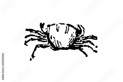 Valokuva Black crab silhouette, detailed legs and carapace texture, old vintage illustration, 1897