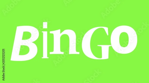 Bingo text typography on green background creating game logo