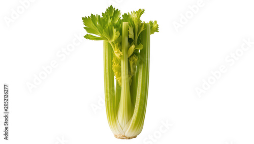 Foto Fresh celery stalks with green leaves and white base