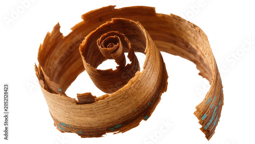 Bild auf Leinwand Wood shaving spiral with turquoise specks