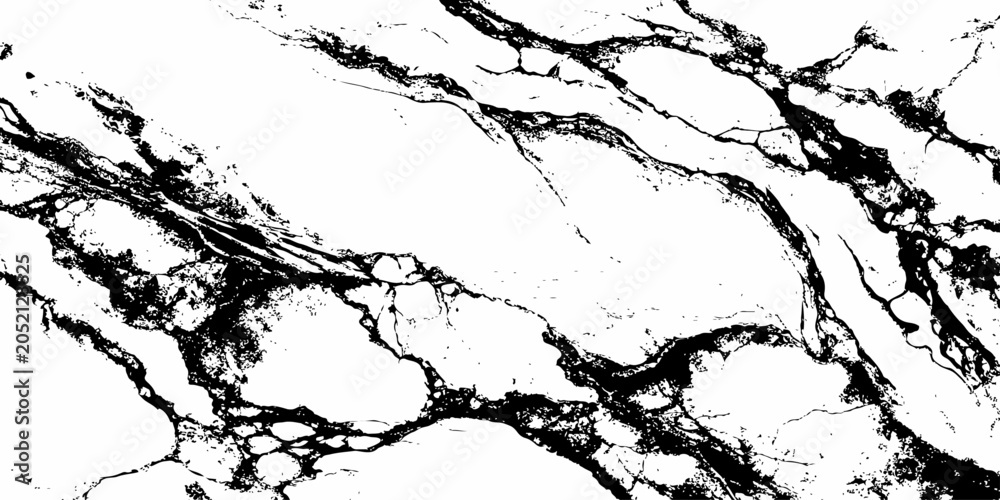 Fototapeta premium Luxury White Marble Surface with Strong Black Veins Premium Stone Texture Background.