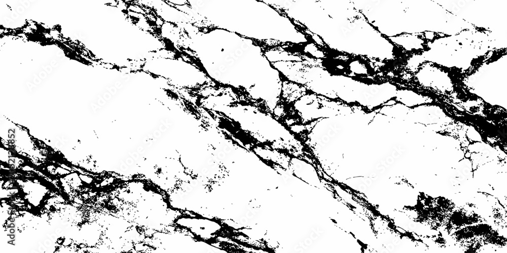 Obraz premium Modern White Marble Background with Natural Black Veins Premium Luxury Stone Texture.