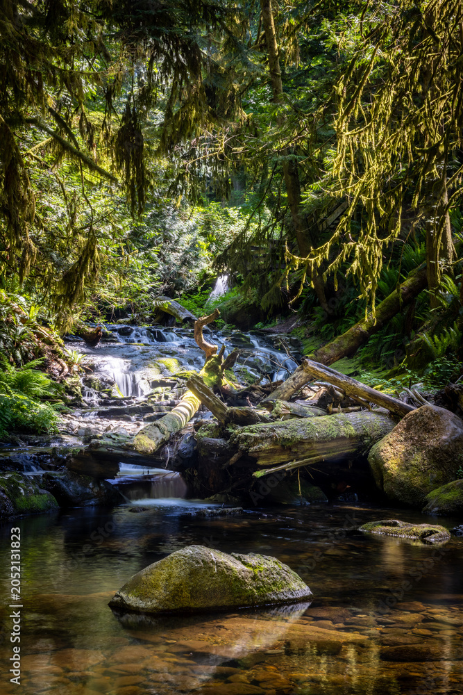 Fototapeta premium Sunlit Forest Stream With MossCovered Logs and Small Waterfall