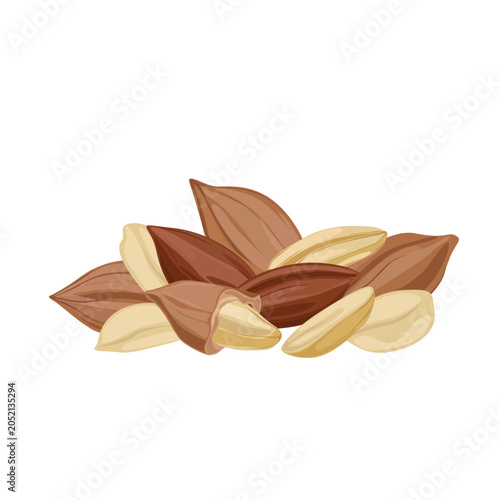 Pili Nut Tropical Superfood
