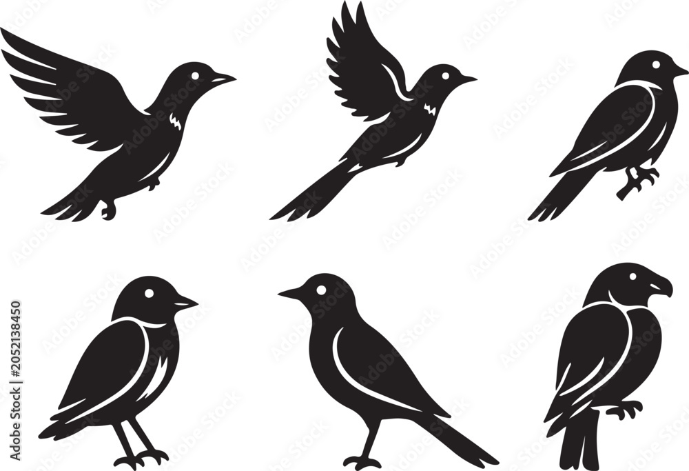 Fototapeta premium Set of black bird silhouettes in various poses