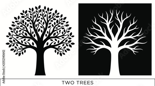 Foto Comparison of Leafy and Bare Tree Silhouettes in Black and White
