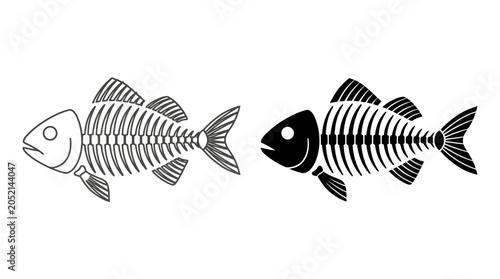 Photography Fish skeletons in contrast