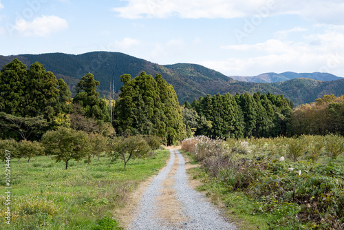 Photos 山と森を背景にした農村の砂利道 雑木林が続く日本の里山風景
