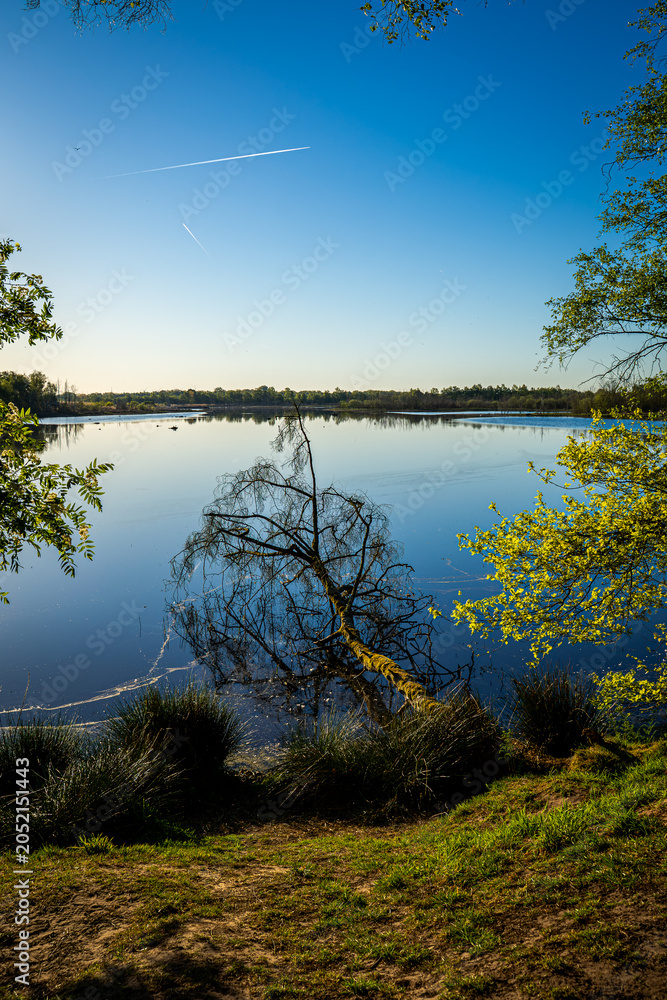 Obraz premium im Schatten der Bäume, während der See bereits das Blau des Himmels eingesammelt hatte. Mitten im Wasser liegt ein umgestürzter Baum, als hätte er beschlossen, nach einem langen Leben einfach auszuruh