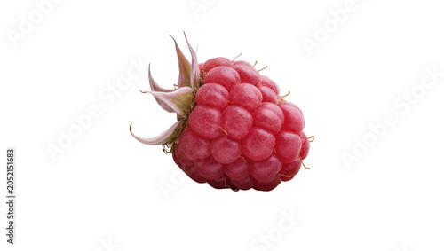 Foto Ripe red raspberry with green sepals