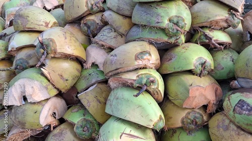 A large pile of young coconut shells