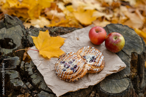 Autumn cozy concept - cinnamon sticks and apples on old tree stump among fallen leaves