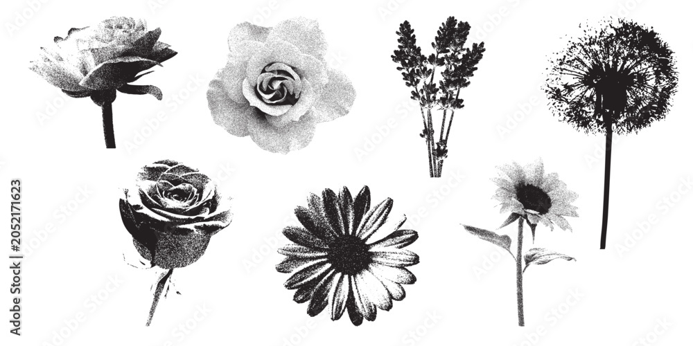 Obraz premium Summer Flower Stipple Set, Collection of Wildflowers and Garden Blooms, Floral Elements Isolated on White Background. Vector