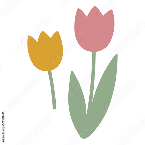 Simple floral illustration featuring pink and yellow tulip bloom heads