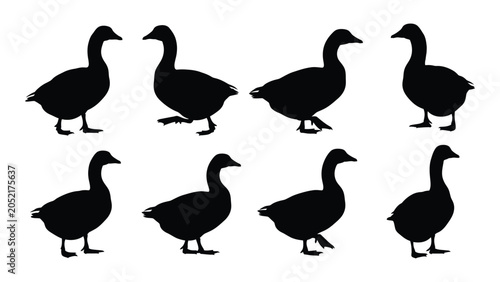 Canvastavla Collection Of Goose Silhouettes In Various Poses Against A White Background Silh