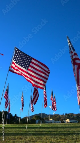 Vertical Screen: USA Flag display at September 11 memorial tribute features rows of American flags waving in the wind on green grass field with mountain backdrop under clear blue sky.