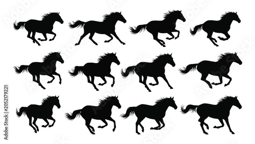 Fotografie Collection Of Running Horses In Various Poses Black Silhouette Against A White B