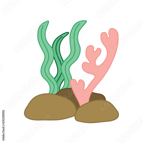 Cute cartoon seaweed and coral vector asset isolated on white background