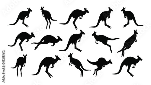 Bild auf Leinwand Collection Of Kangaroo Silhouettes In Various Dynamic Poses Against A White Back