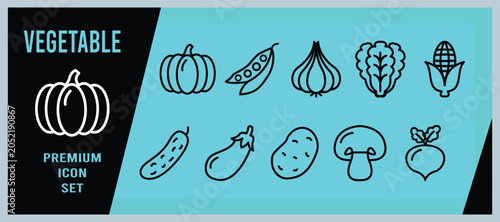 A collection of vegetable-themed line art icon set including a pumpkin, peas, garlic, lettuce, corn, cucumber, eggplant, potato, mushroom, and radish.