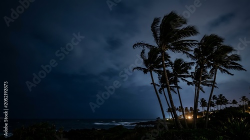 Palm trees silhouetted against a dark moody night sky