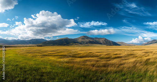 Panoramic landscape of a golden grass meadow with distant mountains under a dramatic blue sky with fluffy white clouds on a sunny summer day