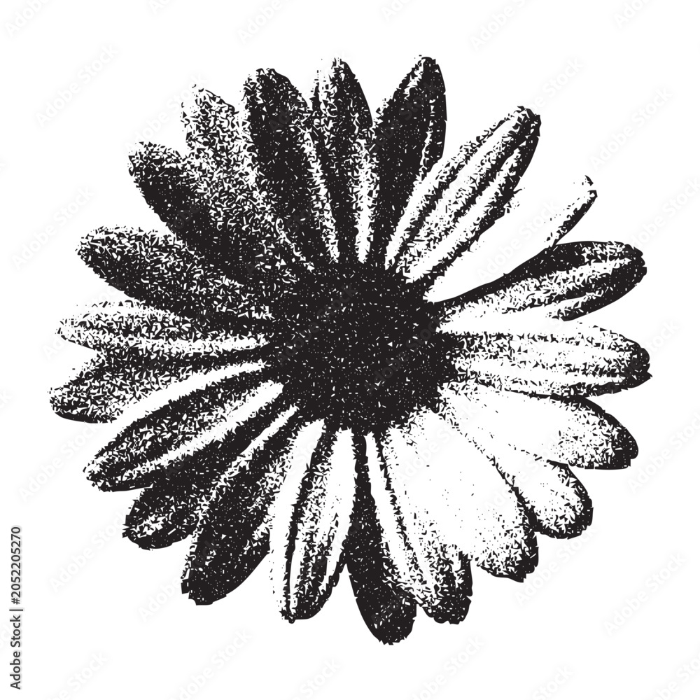 Foto Chamomile Flower Stipple Illustration