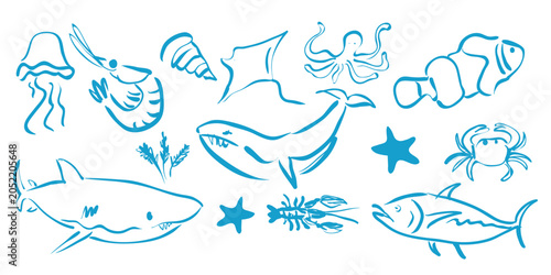 Fotografija Blue hand drawn marine life illustrations on white background