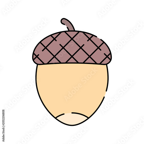 Acorn Flat design style oak seed representing nature and autumn season ideal for harvest and woodland themed illustrations 