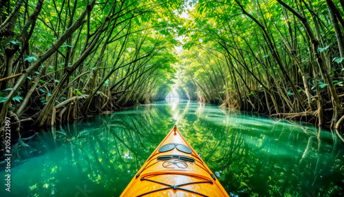 Kayak Paddle Through Lush Mangrove Tunnel Over Calm Green Water — Serene Nature Adventure.